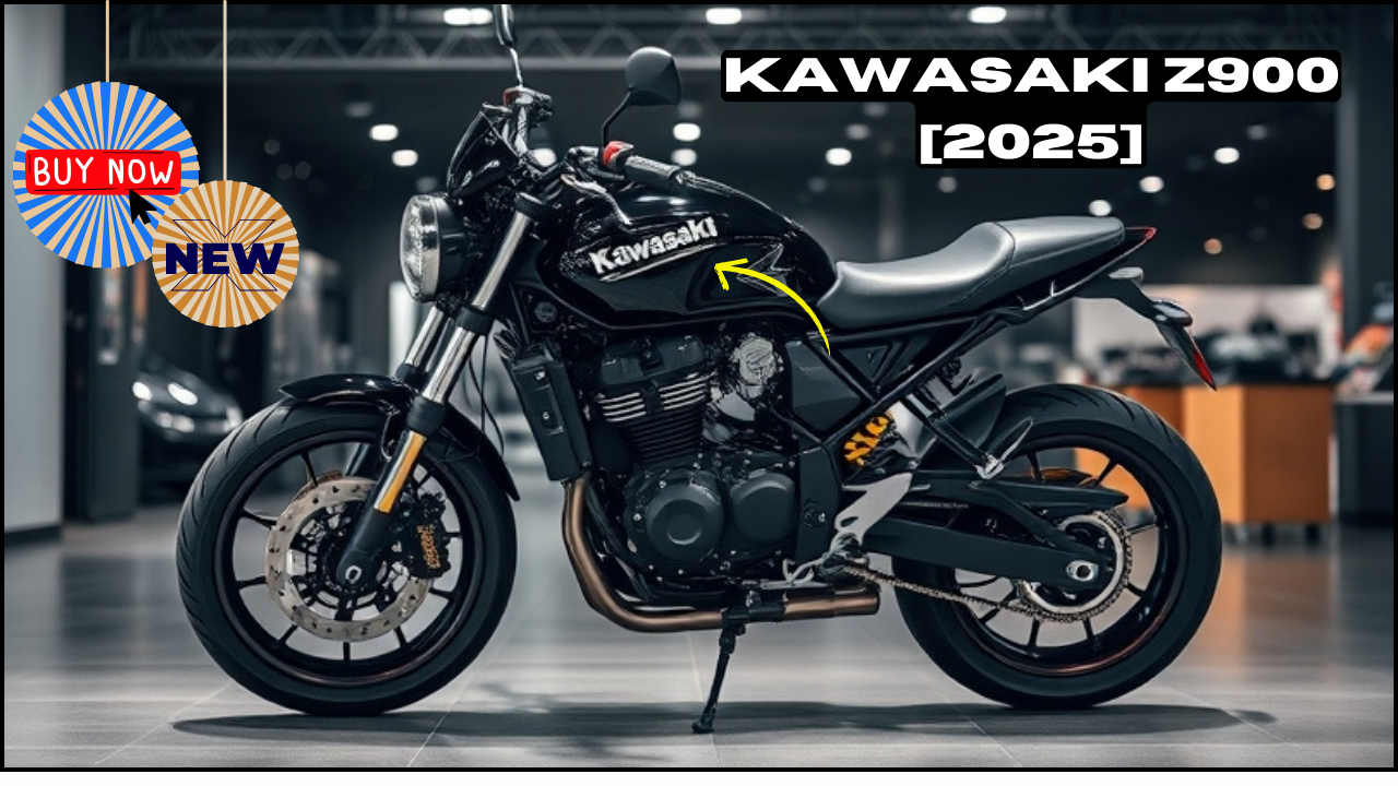 Kawasaki Z900 [2025]